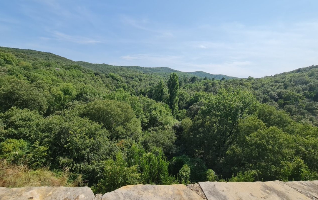 Annonces CEVENNES : Maison / Villa | THOIRAS (30140) | 258 m2 | 450 000 € 